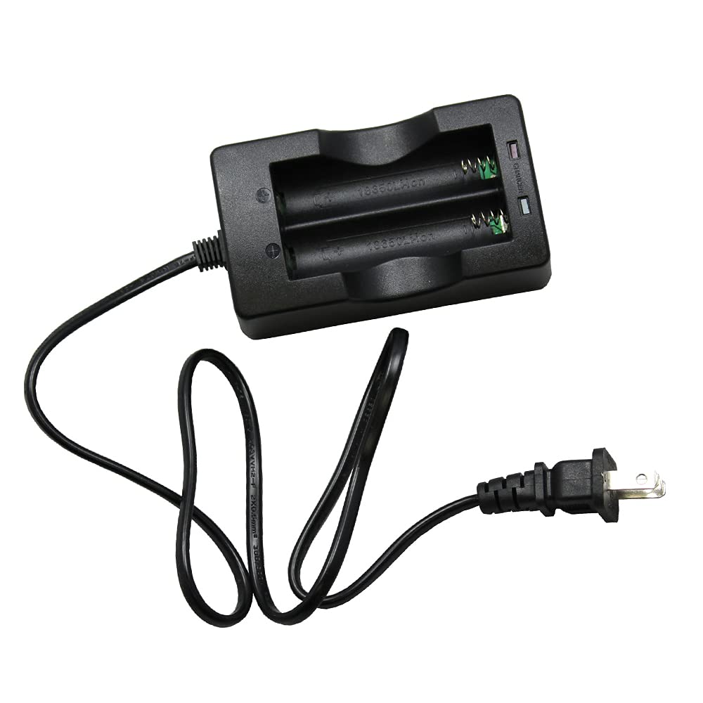 Acxico 1Pcs Li-ion Battery Charger 2 Slots 4.2V 1000mA?500mA x 2? Output Smart Charger for 18650 Batteries