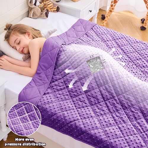 Image of Purple Weighted Blanket 10lbs, 40 inchx60 inch, Twin Size Breathable Cooling Minky Heavy Throw Blanket for 80-120lbs, Soft Winter Thick Big Blankets Weighted Comforter Gift