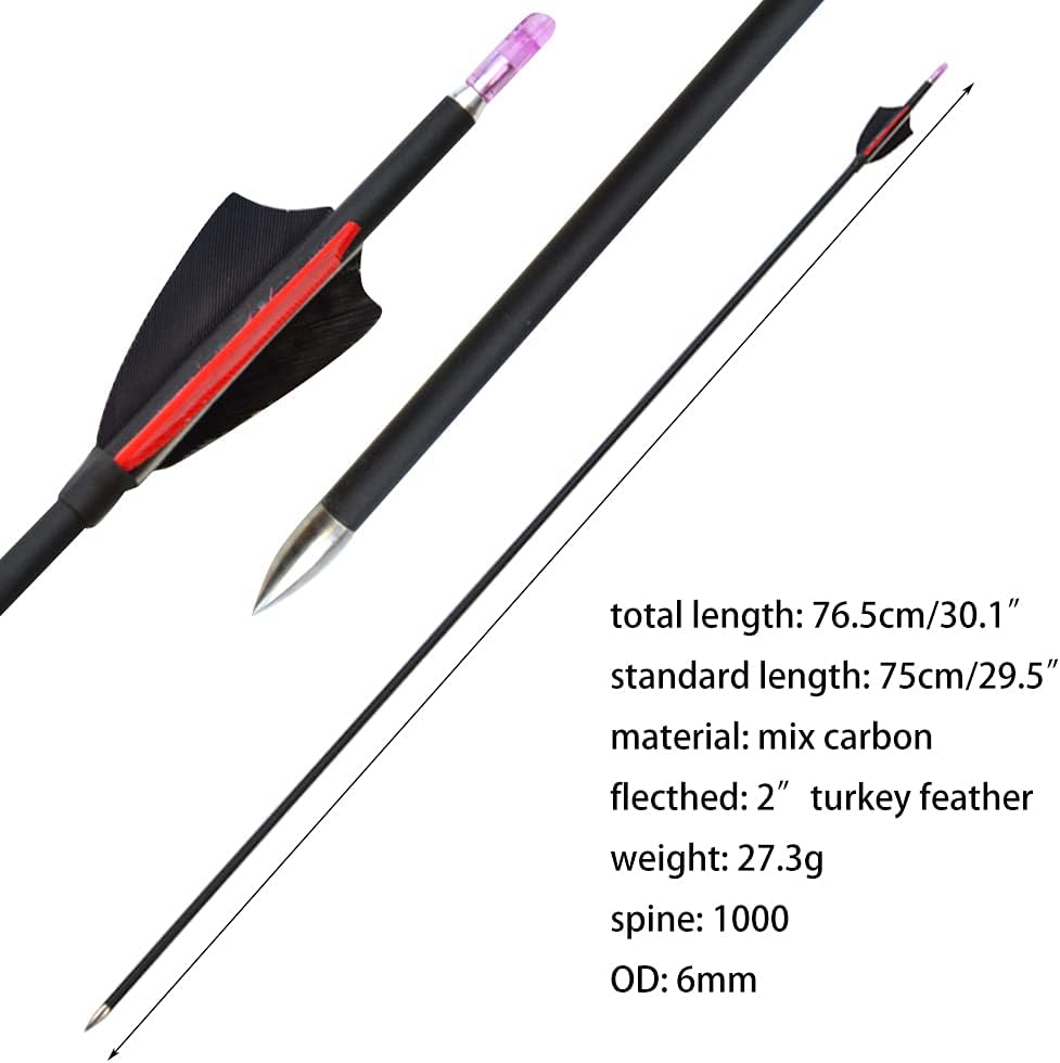 ZSHJGJR 31Inch Archery Carbon Arrows Hunting Arrows Spine 1000 with 2" Turkey Feathers Shooting Tips for Compound Recurve Bow 12 Pieces (Black) (12 x Red Arrows)
