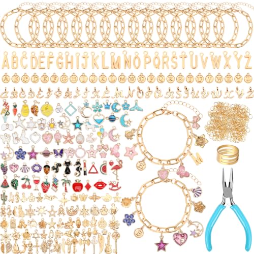 SANNIX 486Pcs Charm Bracelet Making Kit Including 16 Bangles 228 Charms