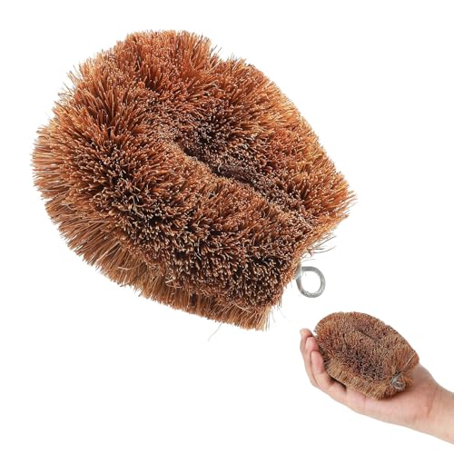 1 cepillo de fibra de coco natural esmerilado, cepillo de limpieza de platos de palma de madera, muy adecuado para fregar verduras y frutas, una herramienta de limpieza útil para necesidades de
