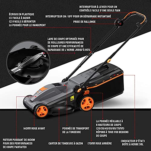 Cortacesped-Electrico-1600W-Cortacesped-Ajuste-Sin-Herramientas-37cm-Ancho-Corte-6-Alturas-Corte-25-75-mm-3-Alturas-Mango-Mango-Telescopico-38L-Colector-con-Indicador