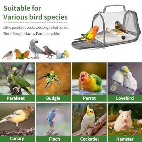 Vogel Transportbox mit Holzstab, Faltbare Leichter Rucksack für Vögel mit Stehstange und Tablett Vogelkäfig für Papageien Sittiche Kleintiere für Reisen Wandern Camping (26 x 19 x 19.5 cm)