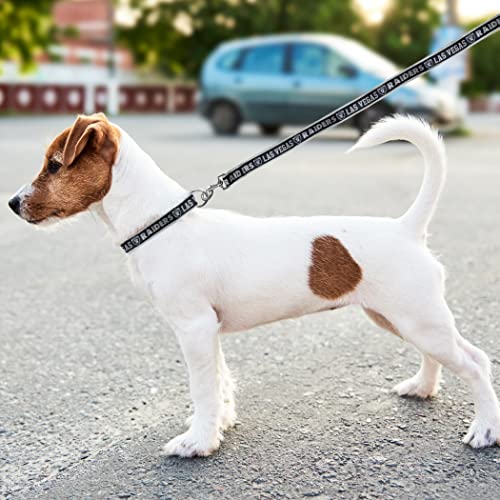 Nfl Pet Leash Las Vegas Raiders Dog Leash, Large Football Team Leash For Dogs & Cats. A Shiny & Colorful Cat Leash & Dog Leash Licensed By The Nfl #TOP5