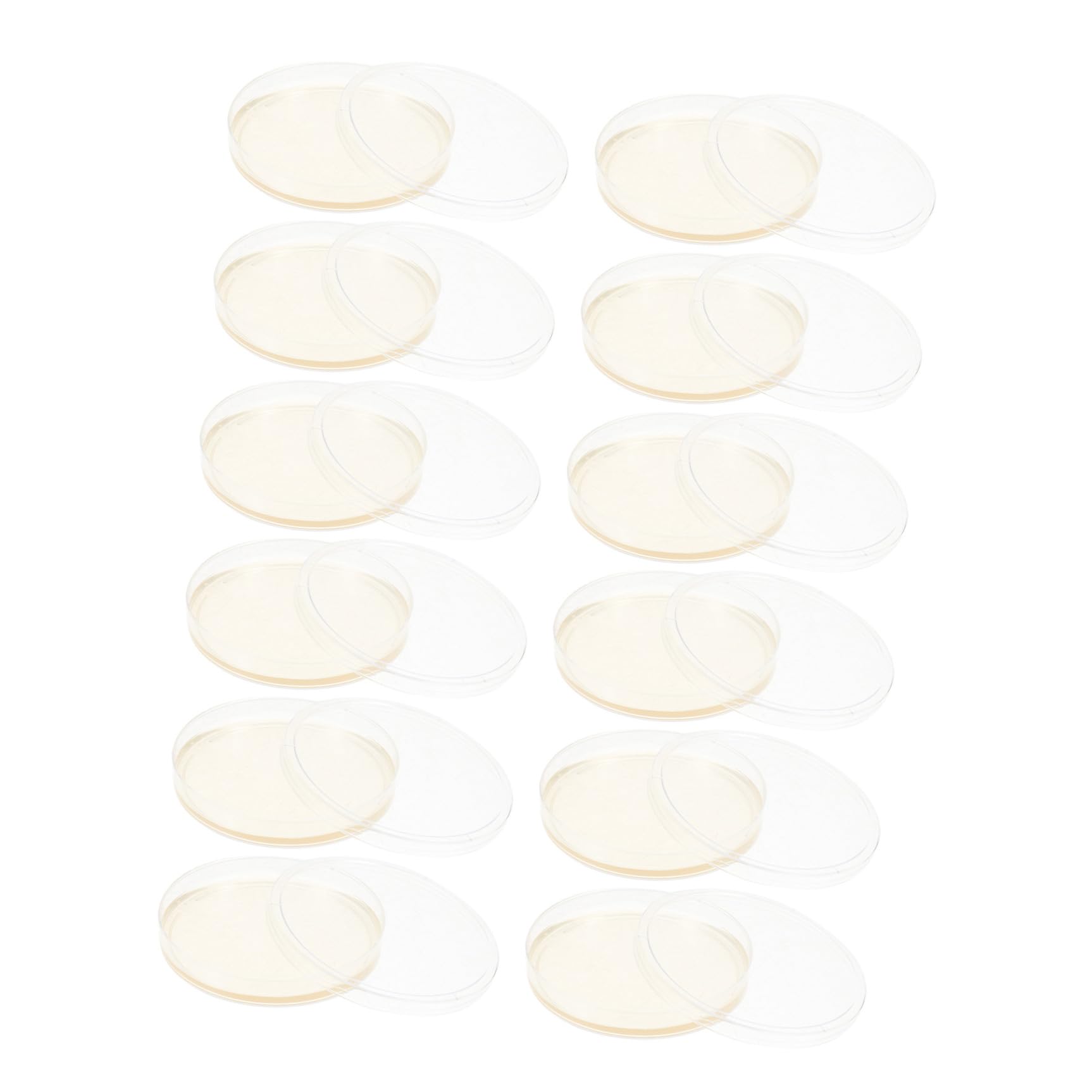 20 Placas de Petri Redondas de Agar Nutritivo Lb Pre-vertidas de 9 Cm Tapas Ajustadas para Cultivo de Hongos y Experimentos Científicos en Laboratorio Estudiantil