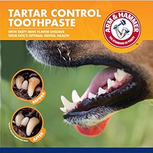 Arm & Hammer for Pets Dog Dental Care Fresh Breath Kit | Includes Arm & Hammer Baking Soda Dog Toothpaste and Dog Toothbrush | Dog Plaque Removal Kit, Mint