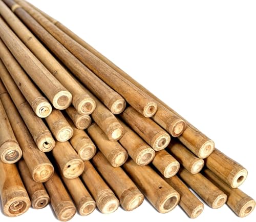 LOIBUYZ Bamboo Canes - Plant Supports for Outdoor Plants – Heavy Duty Professional Bamboo Sticks for Plants, All Lengths 2,3,4,5,6,7 & 8ft Garden Canes, Garden Plant Supports (10, 3ft, 10-12mm)