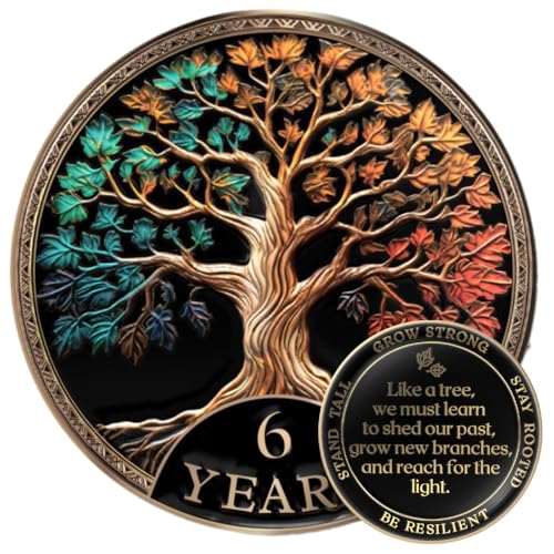 Image of MilestoneMint 6 Year Sobriety Coin, Tree of Life, AA Coins and Medallions | Sobriety Gifts for Men and Women | 3D Texture with Token Acrylic Capsule, Stand, Cards & Velvet Pouch | Recovery Sober Coin