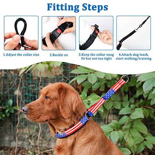 Martingale Prong Collar For Dogs, No Pull Dog Collar With American Flag For Small Medium Large Dogs, Adjustable Funny Pinch Collar For Dogs With Buckle For Training Walking Hunting #TOP5