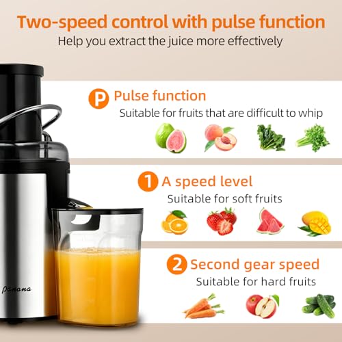Image of Panana Centrifugal Juicer Extractor with Wide Mouth 2.5 inch Feed Chute for Fruit Vegetable, Easy to Clean, Stainless Steel, BPA-free (Silver)