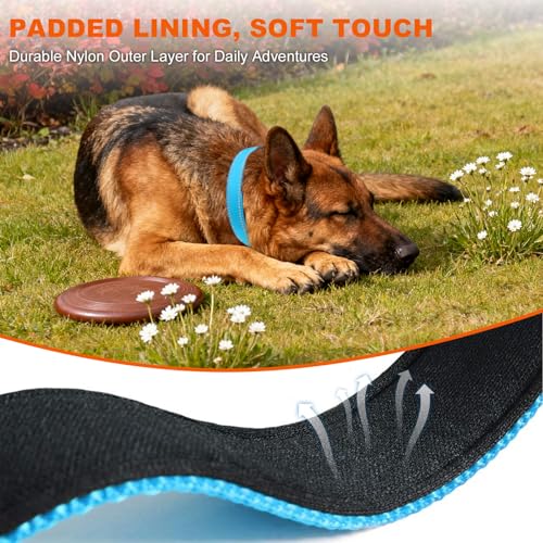 Image of Taglory Reflective Extra Large Dog Collar, Comfortable for Safe Night Walks
