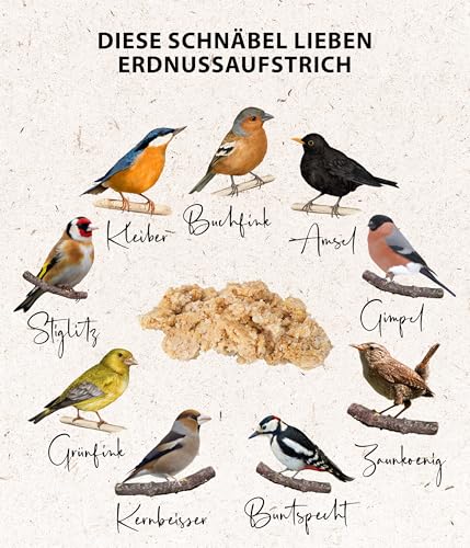 Dehner Natura Premium Wildvogelfutter, Erdnuss-Aufstrich, Erdnussbutter im Eimer, Ganzjahresfutter energiereich, hochwertiges Vogelfutter für Wildvögel, 2 kg