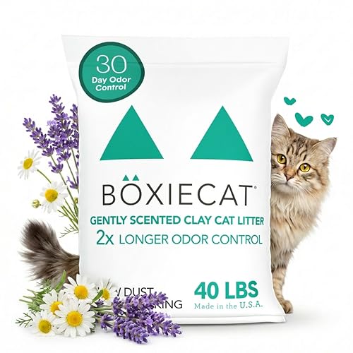 Boxiecat Gently Scented Premium Clumping Clay Cat Litter, 40-Pounds