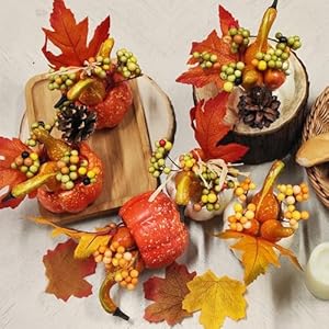 winemana Thanksgiving Decorations Set of 6 Artificial Pumpkin Berry Acorn Pine Cone Vegetables for Harvest Fall Tabletop Home Kitchen Party winemana Thanksgiving Decorations Set of 6 Artificial Pumpkin Berry Acorn Pine Cone Vegetables for Harvest Fall Tabletop Home Kitchen Party