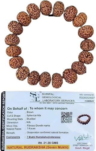 7 Mukhi Lab Certified Rudraksha Bracelet, Shiva Wrist Mala, Yoga Bracelet, Seven Faced Rudraksha, Gift For Yoga Lover