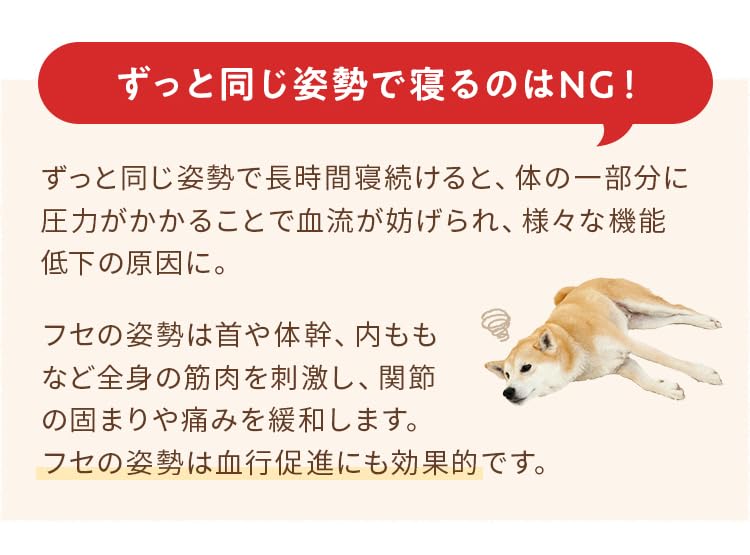 Amazon | 王様のらくすや 大型犬用 食事介助 犬 介護 ペット