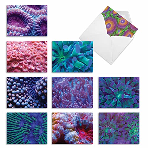 Carte de notes haut de gamme : lot de 10 cartes vierges humour Deep Thoughts M3103