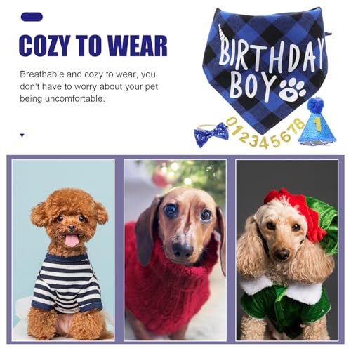 Set de disfraz de cumpleaños para perro con bufanda azul miniatura 4