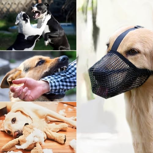 GIONAR Giftköderschutz Hund, Maulkorb Mittlere Hunde, Maulkorb Hund Prevent Fressen/Kauen/Beißen Hunde Maulkorb, Atmungsaktiv Reflektierende Einstellbare(Schwarz, M)