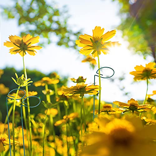 Cyeah 16 Inch Single Stem Plant Stakes 20 Pack, Plant Support Stakes For Outdoor Plants, Flower Support Garden Stakes For Amaryllis Orchid Lily Rose Tomatoes Peony #TOP6