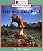 Life in a Tide Pool (Rookie Read-About Science (Paperback))