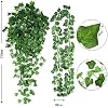 Plante Artificielle Tombante 3PCS Lierre Plante Artificielle Exterieur Interieur Artificiel Feuille Guirlande Faux Lierre Feuillage Décoration Interieur Pour Mariage Balcon Cuisine Jardin Bureau Lierre Artificiel Plante Artificielle Tombante 3PCS Lierre Plante Artificielle Exterieur Interieur Artificiel Feuille Guirlande Faux Lierre Feuillage Décoration Interieur Pour Mariage Balcon Cuisine Jardin Bureau Lierre Artificiel