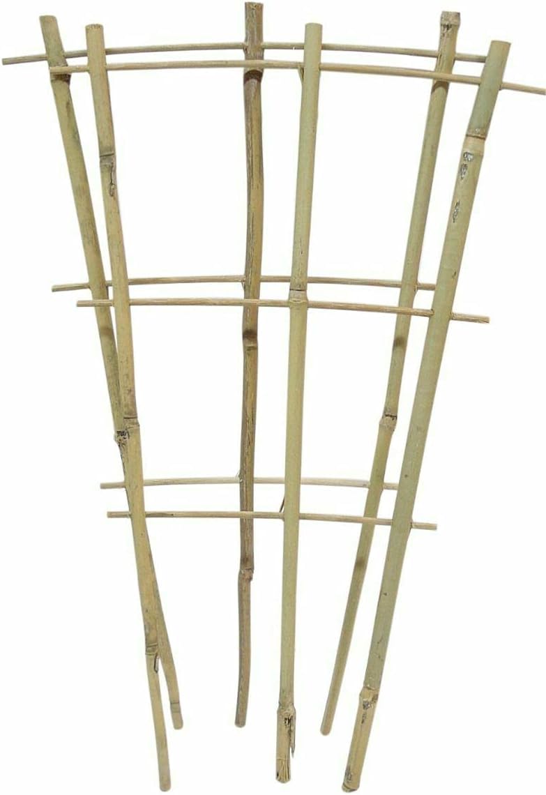 Natural Eco-Friendly Bamboo Cane Plant Pot Fan Trellis Outdoor Garden Planter Climbing Plant Support Frame Stake Stick Pole (1, 85cm)