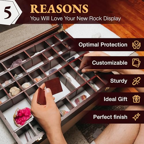 Image of Adjustable Rock Display Case - Rock Collection Box with Fabric Bed for Mineral Display - Dark-Finish Shadow Box with Shelves for Crystal Storage - Display Cases for Collectibles (Large)