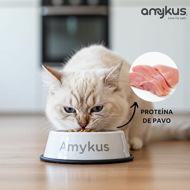 Foto 5 de 6 de Amykus Original Cat Sterilized 8 kg