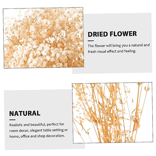 Ramo de flores secas Babysbreath para decoración miniatura 6