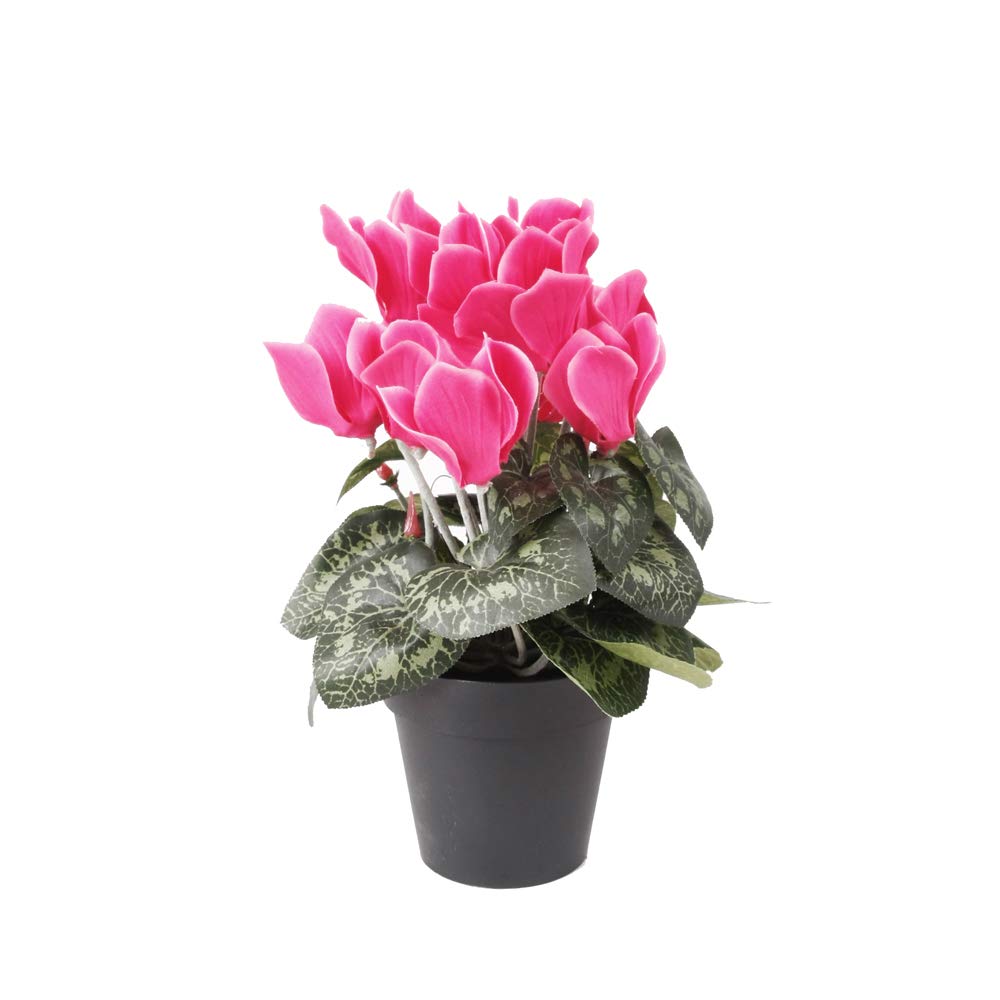 FloristryWarehouse Faux Silk Pink Cyclamen Bush in Pot 25cm/10 Inches Tall