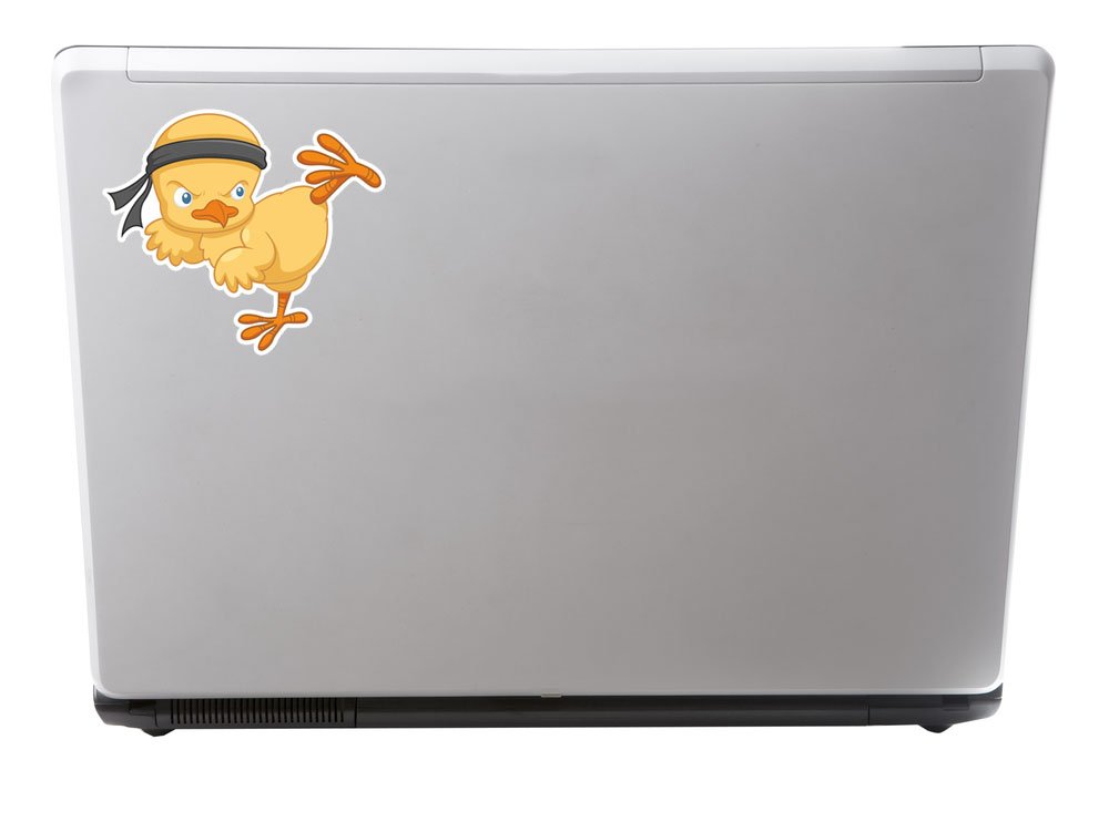 2 x Sticker Arts Martiaux poussin voiture vélo iPad Ordinateur Portable en Karaté Judo Cool # 4253 - 10cm Wide x 8.7cm Tall