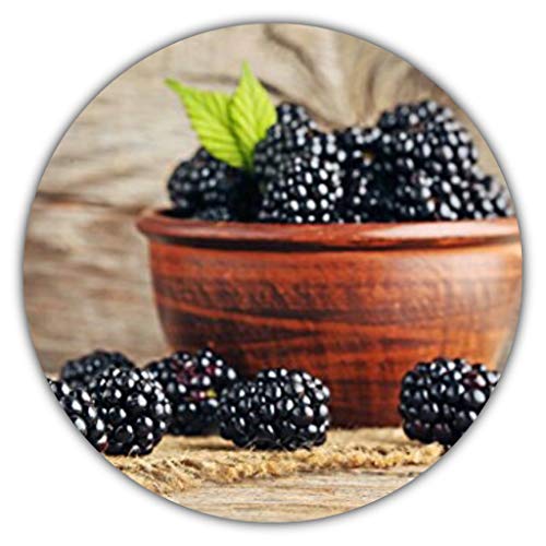 Riesen Brombeeren - Ca. 50 Samen - Gesunde & Vitaminreiche Früchte