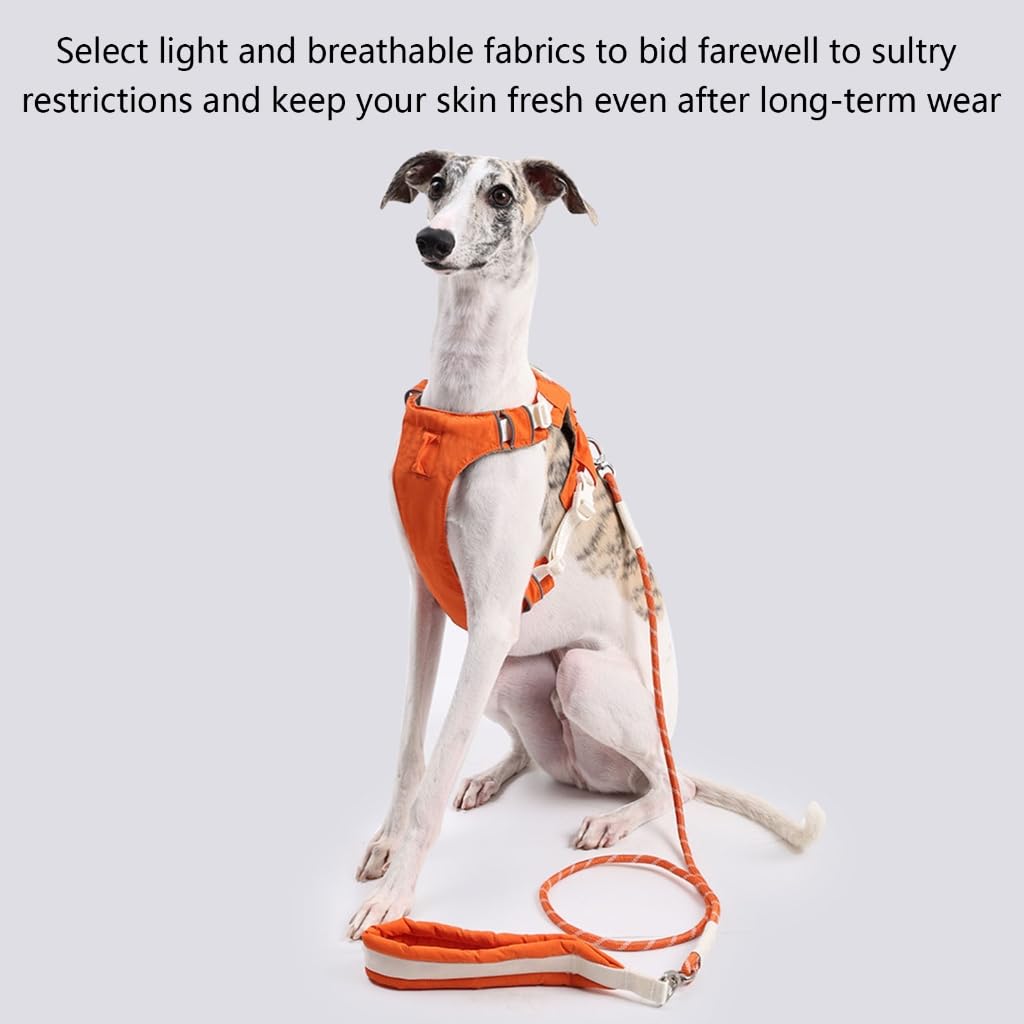 Imbracatura e guinzagli staccabili per cani, regolabile, riflettente, con comoda corda in nylon per la sicurezza delle passeggiate all'aperto