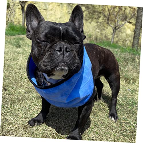 Serviette rafraîchissante pour chien écharpe anti coup de chaleur