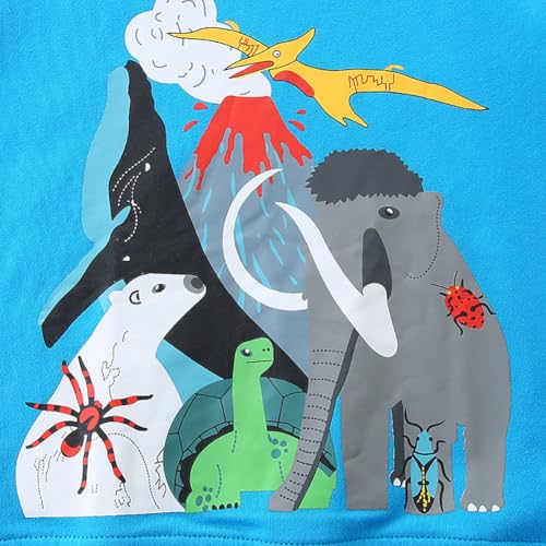 Boys Sweatshirts Casual Sweatshirts Cotton Sweatshirts Long Sleeve T-shirts Crew Neck Cartoon Tops for Boys-3514