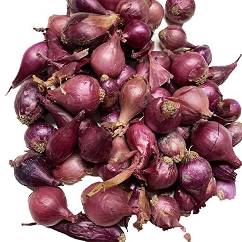 Smoke Camp Crafts Red Onion Sets