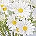 15 Bundles Artificial Flowers White Artificial Daisy Flowers UV Resistant Outdoor Fake Wildflowers with Stems Faux Greenery Shrubs Plants Arrangements for Wedding Decoration Home Garden Decoration
