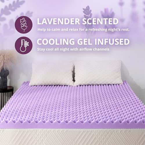 Image of MLILY 2 Inch Egg Crate Queen Memory Foam Mattress Topper | Lavender Scent Gel Infused Foam Mattress Topper for Pressure Relief, CertiPUR-US Certified Queen Bed Topper, Purple, 60 inchx80 inch