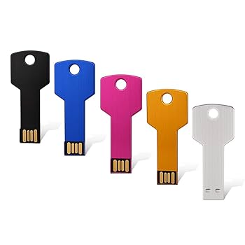 20 Pack 8GB USB C Flash Drive, Wooolken 2-in-1 Type-C Thumb Drive, Dual USB 2.0 Memory Stick Compatible With IPhone 16/15 Smartphone Tablet Computer