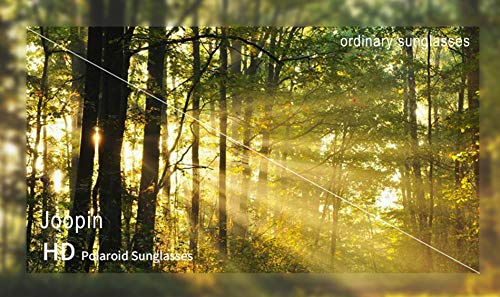 Joopin Retro Polarised Steampunk Sunglasses Round Metal Frame Circle Vintage Sunglasses for Men and Women(Retro Black) steampunk buy now online