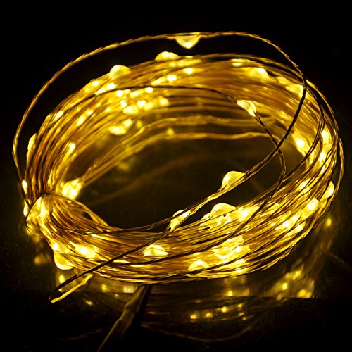 Pixnor 10M33ft 100-LED impermeabile filo di rame stellato flessibile LED String luci con adattatore di alimentazione DC 12V1A spina europea