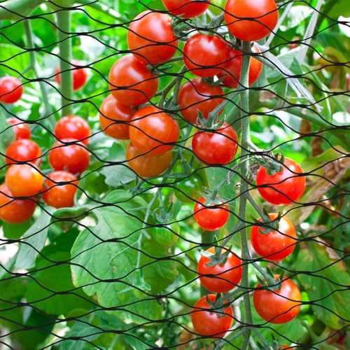 4 x 6m Vogelschutznetz Schwarz, Vogelnetze Vogelschutznetz, Gartennetz, Teichnetz, Laubnetz, Taubennetz,Vogelschutznetzs Engmaschig, Wiederverwendbar, Robust, für Obstbäume Gemüse Teiche Garten Balkon