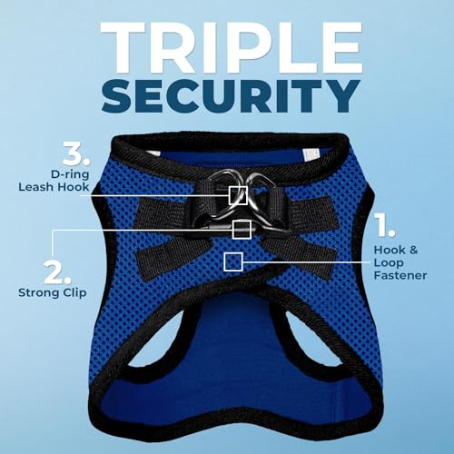 Image of Voyager Step-in Air Dog Harness - All Weather Mesh Step in Vest Harness for Small and Medium Dogs by Best Pet Supplies - Royal Blue Base, M