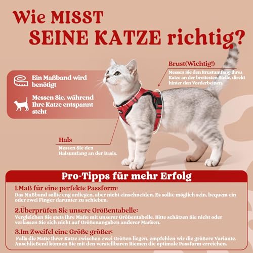 Image of rabbitgoo Cat Harness and Leash Set, Escape Proof Vest, Red | Soft Breathable Mesh, Easy Adjustable Fit, Snap Buckles, Sturdy Clip, Reflective Strips, for Medium to Large Cats Walks, M