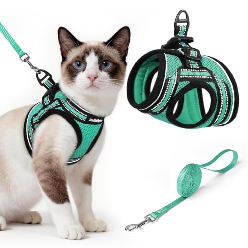 Image of rabbitgoo Cat Harness and Leash Set, Step-in Soft Vest, Green | Escape Proof, Lightweight, Easy-on & Adjustable, Hook & Loop with Buckle, Reflective, for Small Cats Walks, L