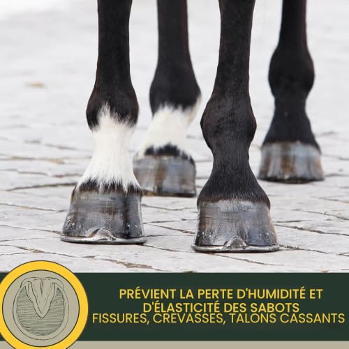 Baume pour Sabots avec Huile de Laurier Soin des Sabots Pommade Saine pour Sabots - Résistant aux Sabots - Graisse Contre Les Sabots secs et fissurés pour la Croissance des Sabots de Cheval 500ml – vue 4