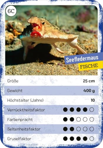 Das verrückte Quartett: Tier-Quartett und Trumpf-Kartenspiel | Spielspaß für Kinder ab 8 Jahren