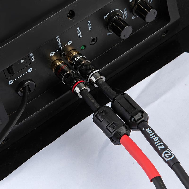 Two to Two 2AV red and White Dual Lotus Heads, Two AV Audio Cables, subwoofer, Audio amplifier16FT