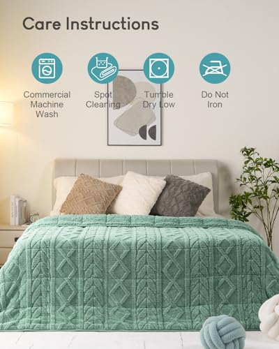 Image of Cottonblue Jacquard Weighted Blanket 15 lbs for Adults Queen Size, Ultra Soft Sherpa Fleece Blanket for Relax and Sleep, Cozy Comfort Heavy Bed Blankets with Glass Beads, 60x80 Inches, Sage Green